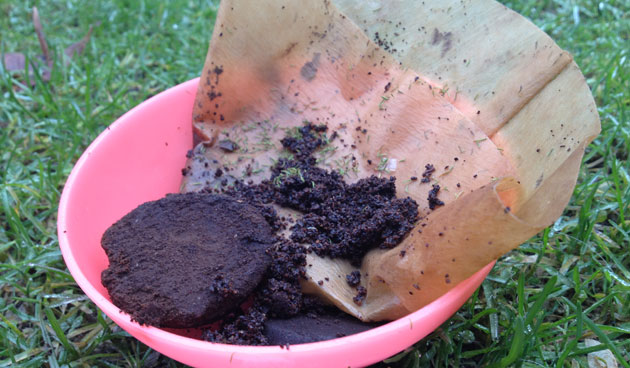 Koffiedik in de tuin Tuinseizoen