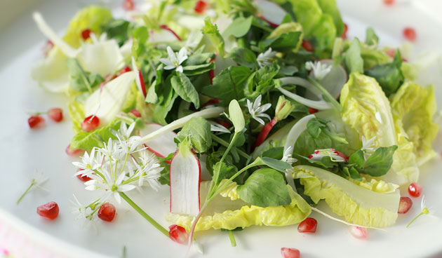 Salade met daslook