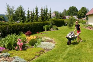 Tips voor tuinbemesting