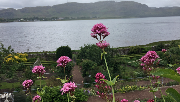 Verslag Lezersreis Schotland: Prachtige tuinen en schitterende natuur