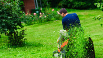 Grasmaaien, Nederlanders houden van tuinieren