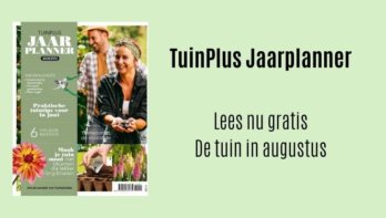 TuinPlus jaarplanner augustus