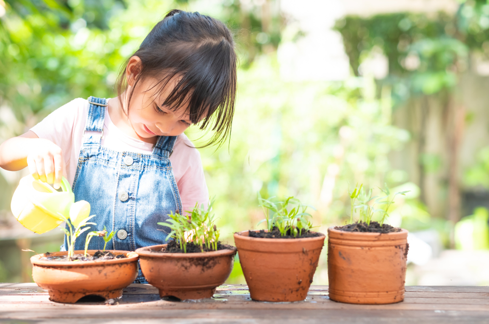Tuinieren met de kinderen: een eigen stukje tuin
