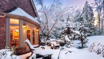 Vorst en sneeuw in je tuin