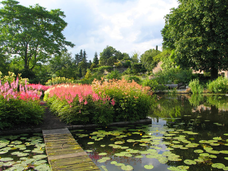 Botanische Tuinen in Utrecht