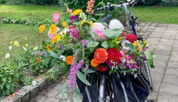 mooie bloemen in de fiets tas