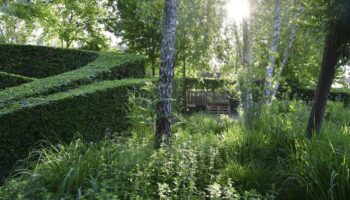 Ook lastige tuintjes zijn middels mooi tuin ontwerp tot een leuek tuin te maken