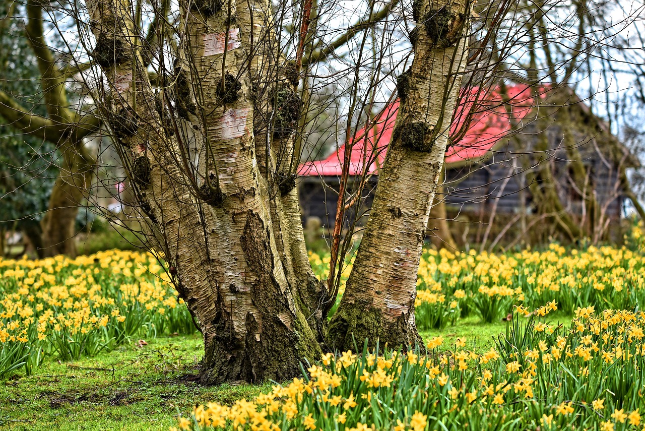 De voordelen van een tuinhuisje in je tuin