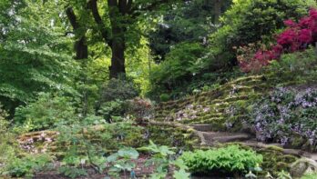 Botanische Tuinen in Utrecht