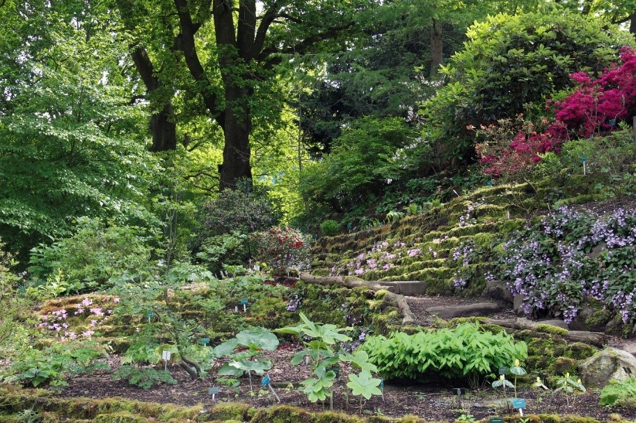 Perfect dagje uit: Botanische Tuinen in Utrecht