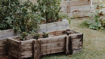 Hoe moet je een houten plantenbak onderhouden