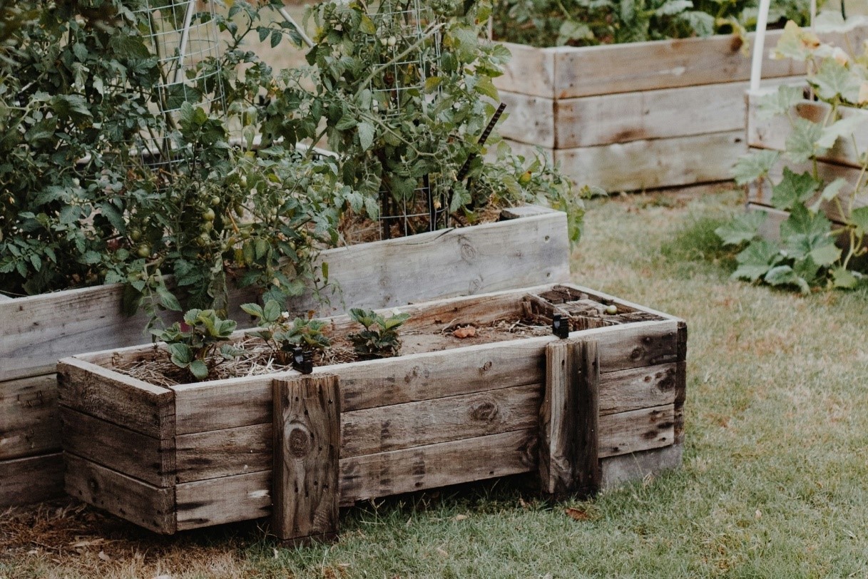 Houten plantenbak onderhouden: zo blijft hij langer mooi