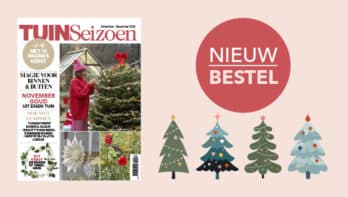 TuinSeizoen november-december: blader ‘m vast door!