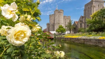 Op tuin- en cultuurreis naar Kent van 20 juni t/m 27 juni 2026